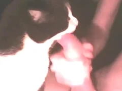 Japanese animal tube