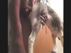 Zoo Sex Run