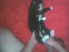Zoo Sex Videos: Hardcore Animal Porn Tube
