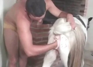 سٹالن کے لےڈے کو چوس رہا ہے