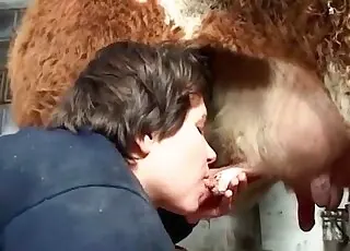 Gorgeous cow gets banged hard in a hot zoo scene