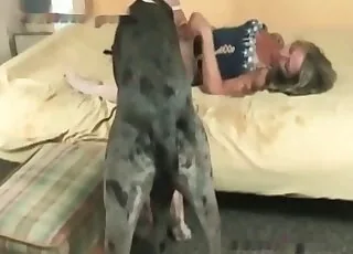 狗疯狂操逼兽交视频