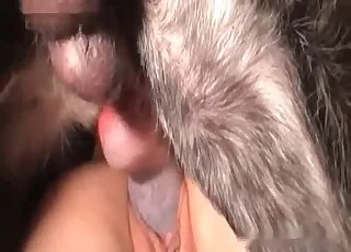Blonde with red hair gets fucked by a dog in the bedroom