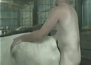 Horny dude is having hardcore sex with a farm beast