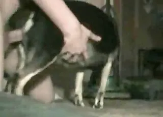 bestiality stories and pictures porn movies