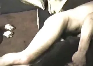 free animal porn blog porn movies