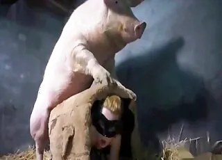 Täydellinen eläinseksin lähde, jossa voit katsella laadukkaita sian pornon videoita.