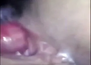 Horká holka s velkým zadkem v amaterském sex se zvířatyním sexu