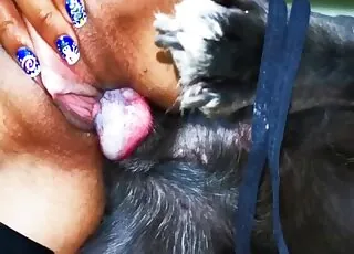 tanned brunette is having a sex with a dog