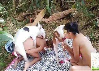 zoo sex with a dog in the forest