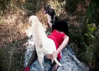 Blonde slut gets fucked by a white dog on camera
