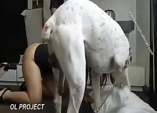 bestiality action for a perverted zoophile