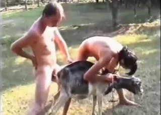 zoo sex with a horny goat