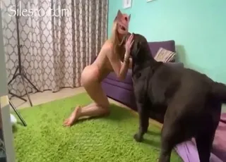Blonde in pink lingerie gets fucked by a dog