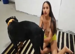 Brunette is ready to get fucked by a horny animal