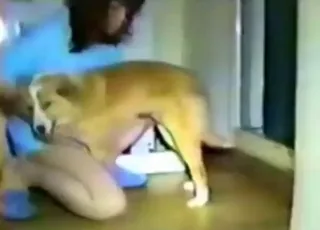 zoophile slut is getting licked by two small dogs