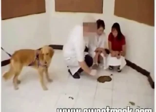 zoo porno z psem i kupy