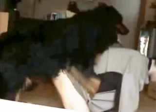 zoo porn with a twink who gets ravaged anally