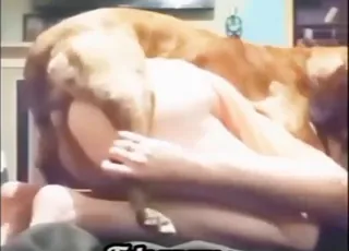 Zoofiele vrouw wordt in de woonkamer door een hond gedolfd