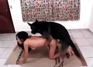 Näytä tämä mahtava eläinseksin video, jossa koirat tekevät raskasta seksiä ohuiden naisten kanssa.
