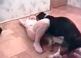 双马尾女人与狗做爱