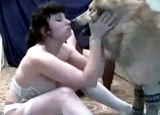 牧羊犬疯狂钻洞