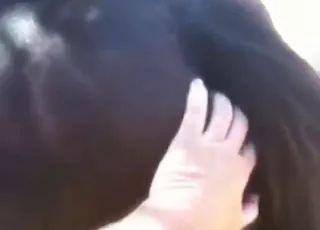 Fingering action with a big-ass brown mare