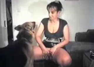 Pies pieprzony przez gorącą seks ze zwierzętamiową babę
