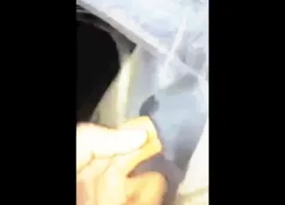 beast ass gets fingered in a hot zoo porn video