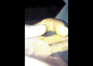Kucyk dostaje palce w tyłek w gorącym zoo porno