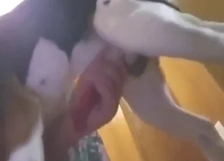 Stunning bestiality action in a hotel room