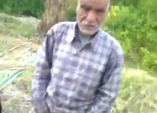 Hund som er stor og fet blir dyrepornert i en dyrepornovideo