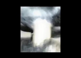 Asiatisk kille knullar djur i en fet zoo sexvideo