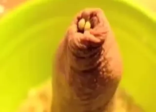 蛆虫爬满硬挺的狗屌