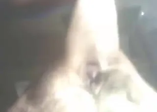 کتے کے سوراخ کو ٹوئٹ کرتے ہوئے