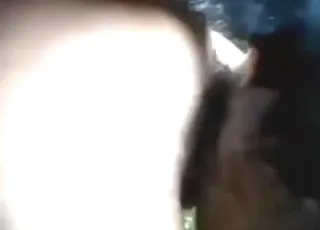 Dogs fucking a submissive brunette in a hot compilation