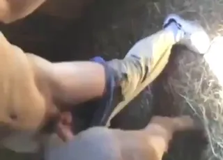 stallion is getting fucked by a horny farmer