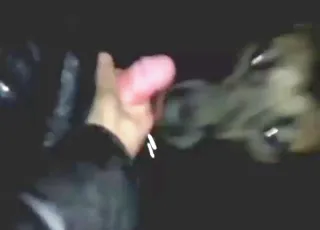 Black dog gets fucked hard in a nighttime zoo porn scene