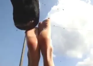 zoophile babe lets a cow lick her feet on camera