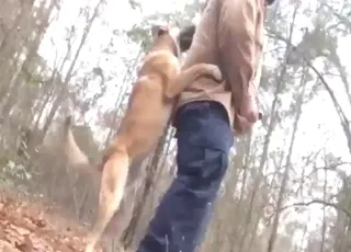 狗在树林里疯狂操男人屁股