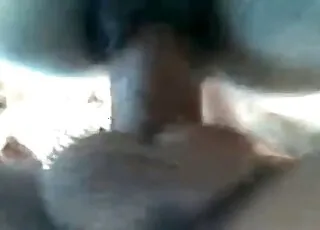 blowjob i cumka w zwierzęcym porno w zbliżeniu