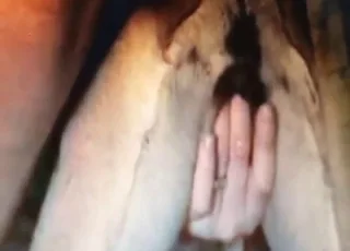 Dude fucks a dog in a hot zoo porn scene