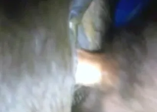 Confident guy fucks a pony in this zoo clip porn clip