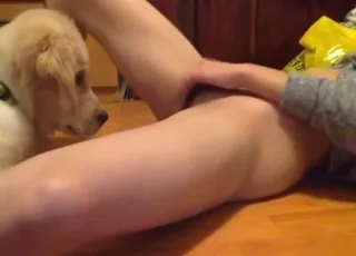 asiatische vrouw laat hond haar kut likken in harde zoöfilie