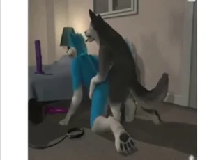 Husky e cani si scopano duramente in stile doggy