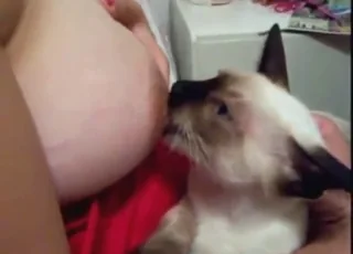 kocur ssie olbrzymie sutki w zwierzęcym porno