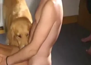 Tanned woman is about to fuck a dog outdoors