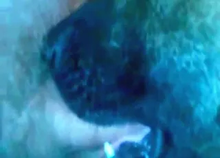 Dude fucks a slutty dog and cums inside her pussy