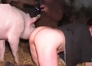verhalen over seks met dieren en paarden