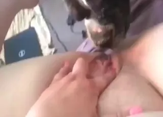 Amatör slickar en hund i en het POV-scen